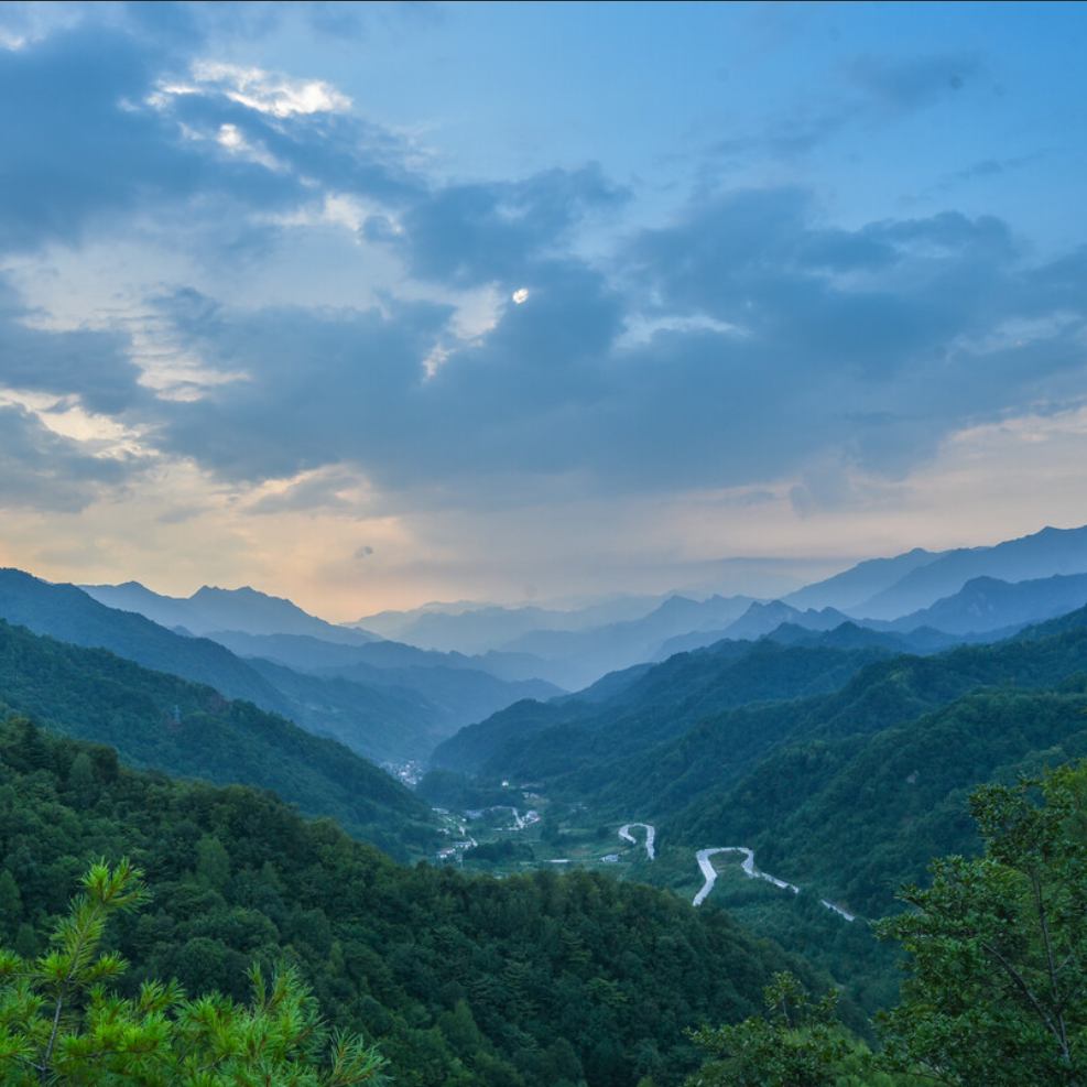 大巴山狩猎场建设项目