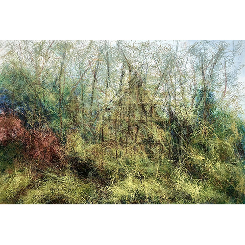 《隐去的信仰》