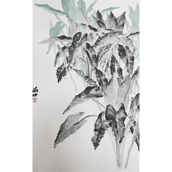《植物系列》