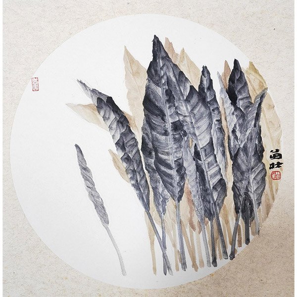 《团扇植物系列》