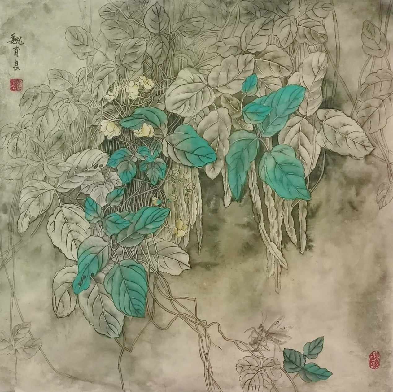 《田园豆趣》